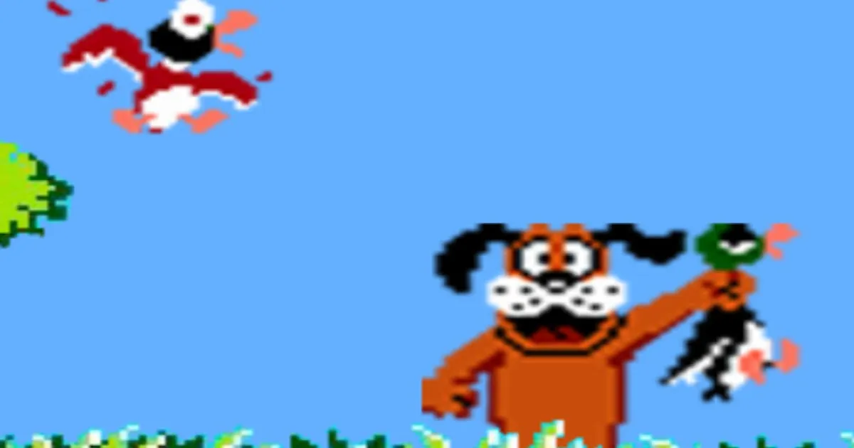 Duck Hunt